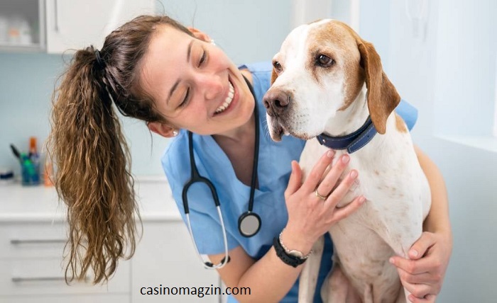 Caring for Your Pet